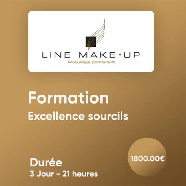 Formation Excellence sourcils - Maquillage permanent à lyon